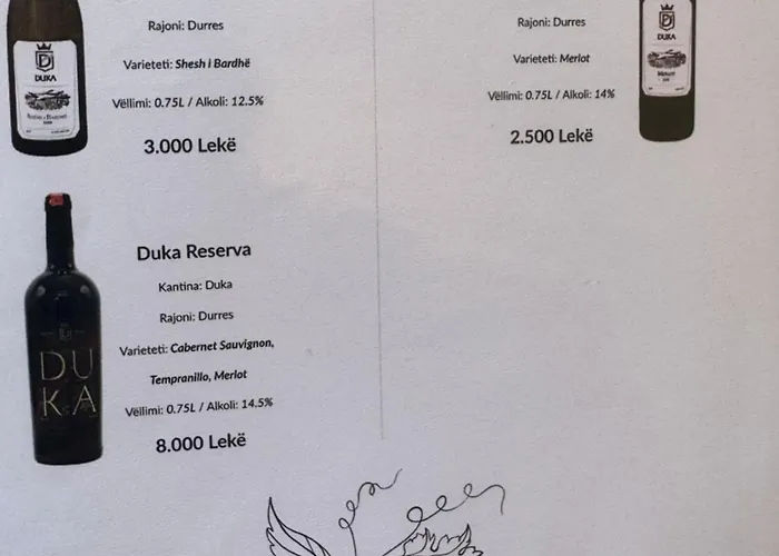 Ronis Place Shkodër