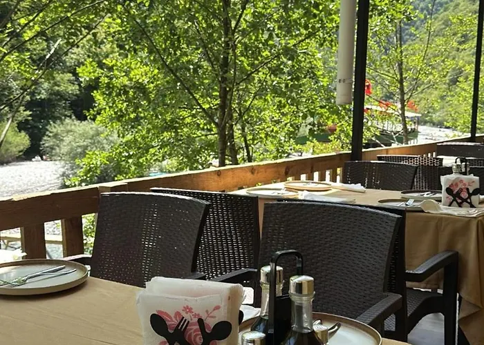 Ronis Place 4* Shkodër