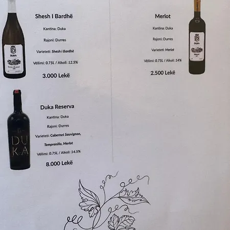 Ronis Place Shkodër